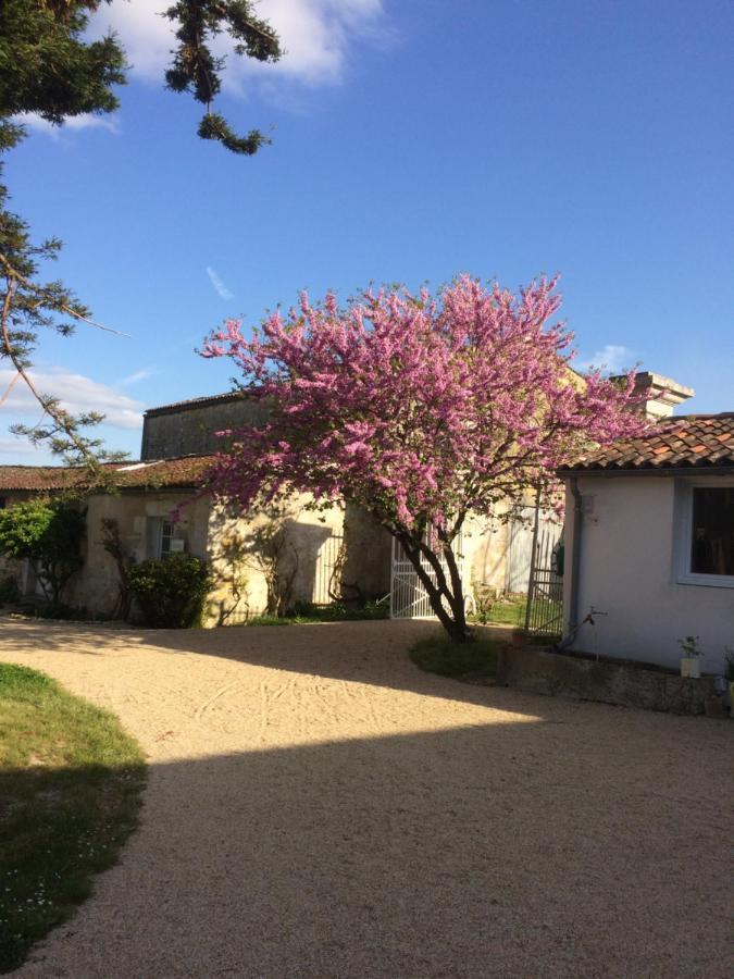 Le Logis Du Plessis Bed & Breakfast Chaniers ภายนอก รูปภาพ
