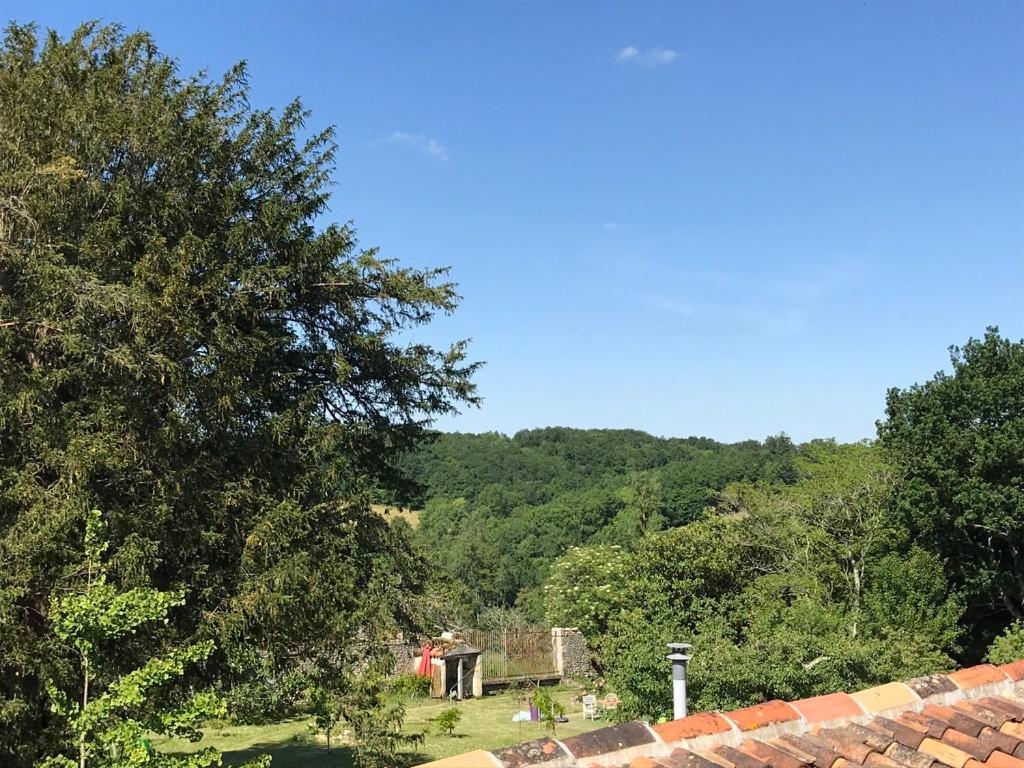 Le Logis Du Plessis Bed & Breakfast Chaniers ภายนอก รูปภาพ